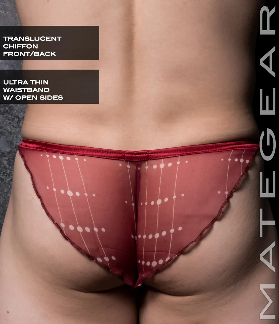 Sexy Mens Underwear Xpression Ultra Bikini - Ri So (Translucent Chiffon)