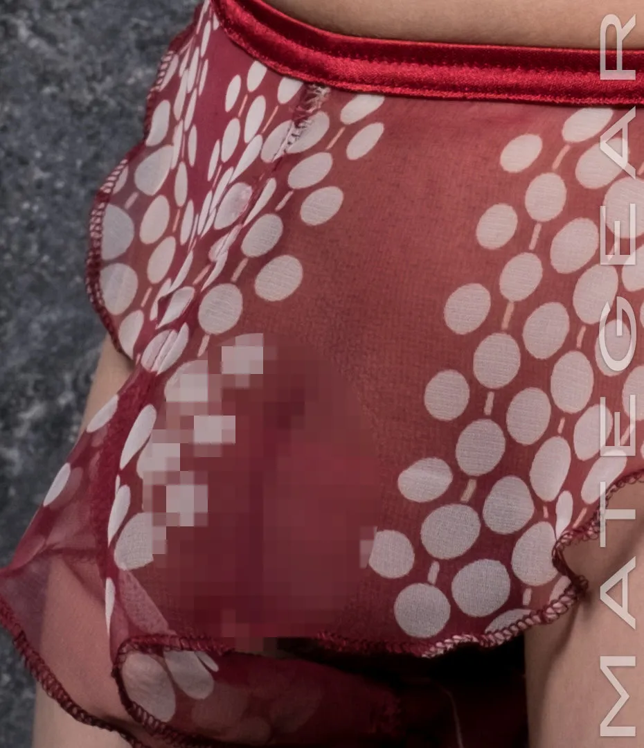 Sexy Mens Underwear Xpression Ultra Bikini - Ri So (Translucent Chiffon)