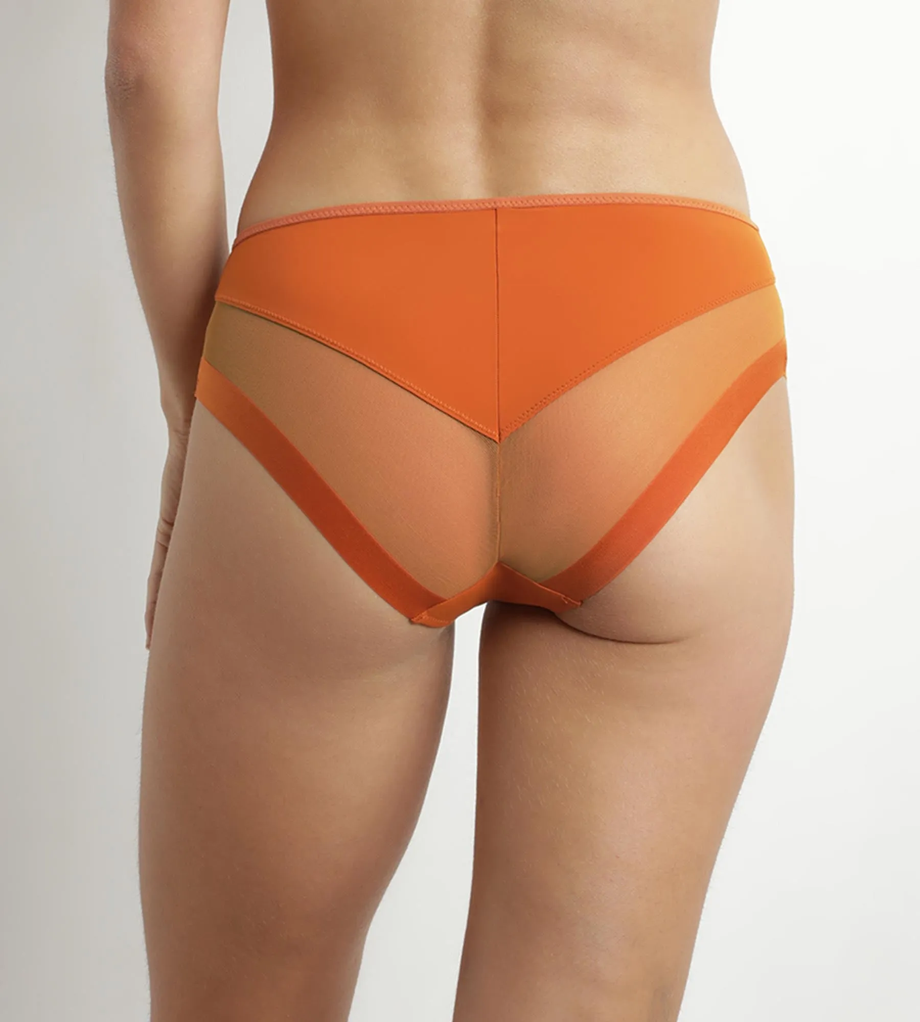 Women's briefs in microfiber and tulle Mandarine Dim Generous